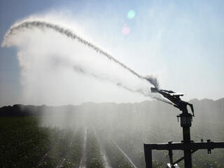 Sprinkler irrigation watering crops on farm