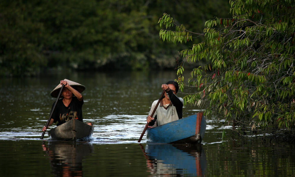 Borneo and Sumatra kayak