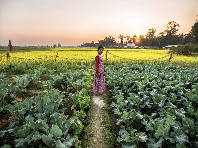 Nepalese woman standing in her vegetable field.