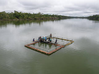 Daniel Martinez / WWF-Perú