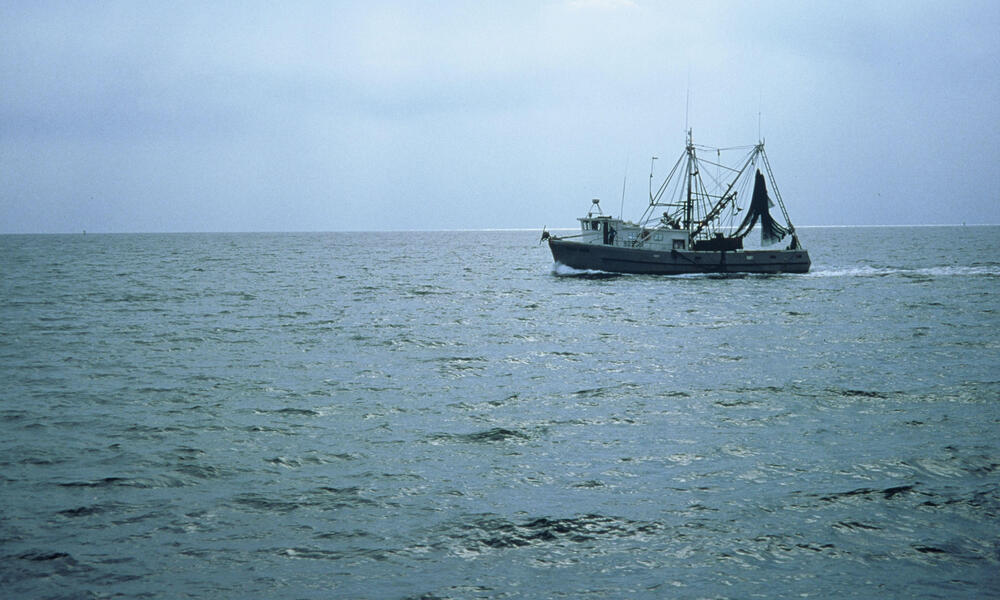 Shrimp trawler