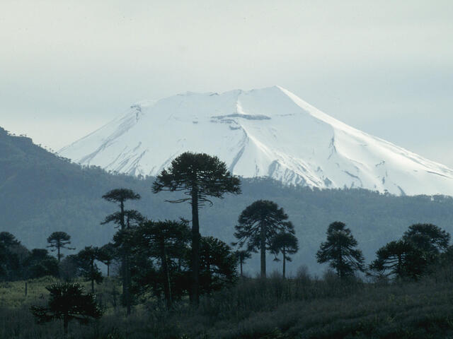 Southern Chile 