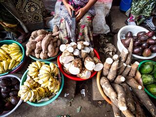 Fruit and vegetable vendor in Primeiras e Segundas, norhtern Mozambique market