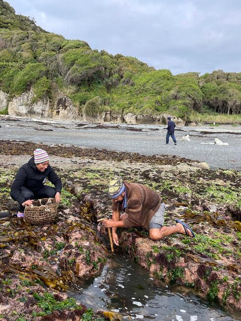 Two people look through seaweed on a coastline in Chile