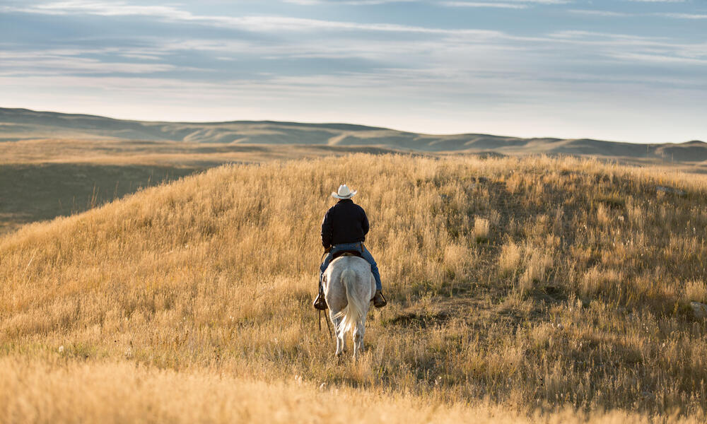 Lyle Perman on his family ranch in Lowry, South Dakota.