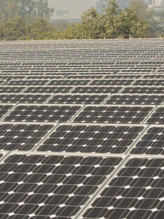 Three workers stand in a field of Solar panels