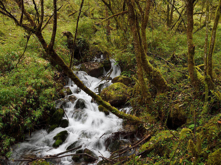 a waterfall in a forest