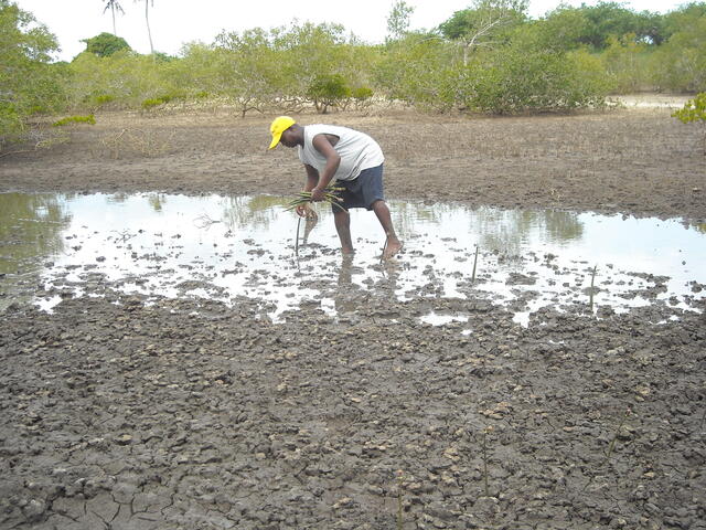 Adapting to Climate Change