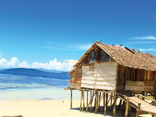 Bird's Hair Seascape, West Papua, Indonesia