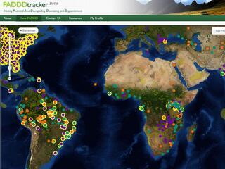 PADDD tracker image