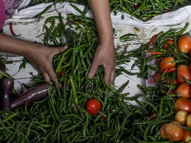 woman sorting produce