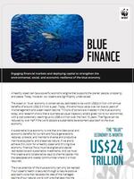 Blue Finance Brochure