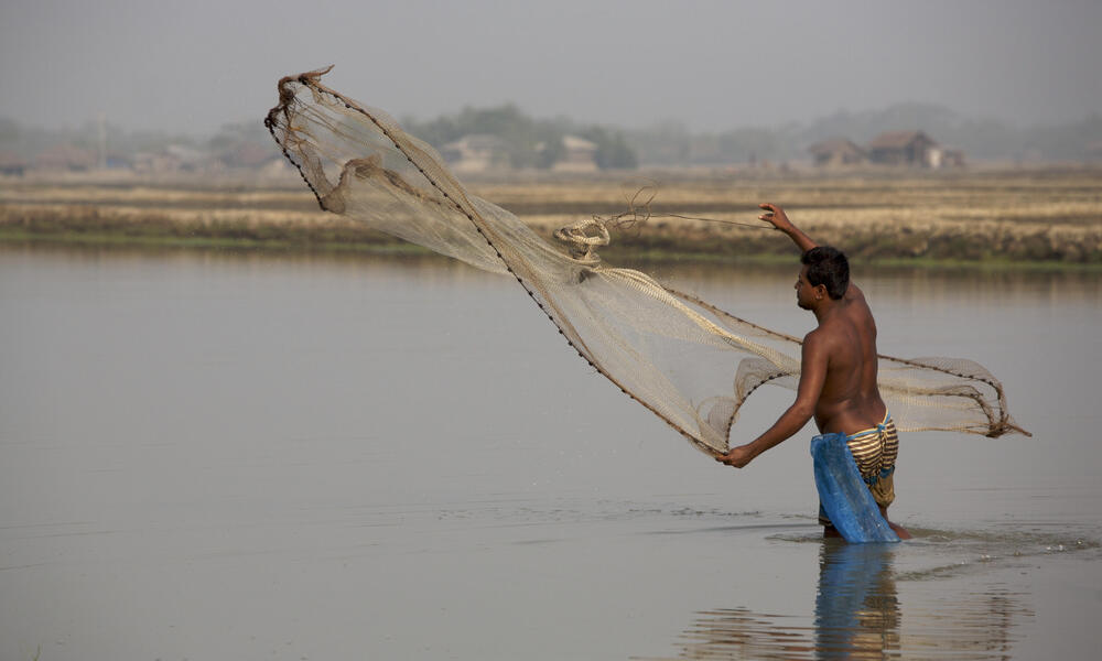 Shrimp Farm