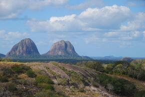 Preserving Freedom to Roam, Coastal East Africa