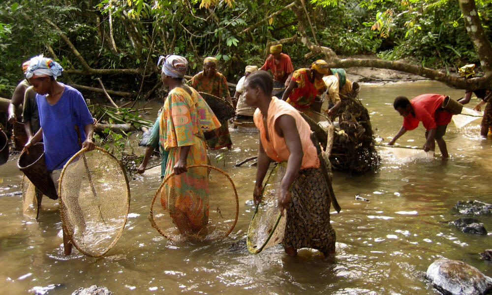 Congo Basin 