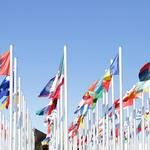 UN flags