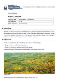 Wild Classroom Dolphin STEM Activity Preview Page