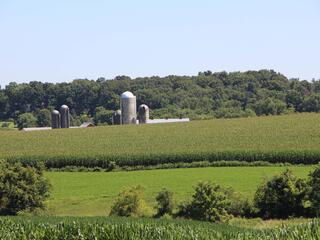 dairy farm