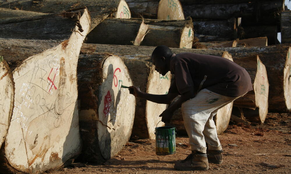 GFTN legally harvested timber