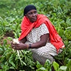 Mujer en el campo