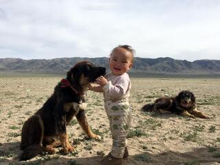 A baby stands smiling at the camera while a sitting puppy sniffs the baby's face face