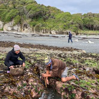 Two people look through seaweed on a coastline in Chile