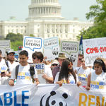 Climate March in DC