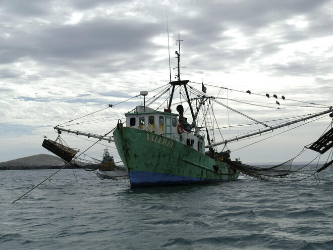 Tropical Shrimp Fishing Boat