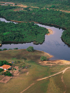 Our Planet Fresh Water Screensho