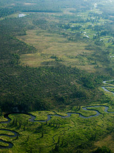 A meandering river in Bristol Bay