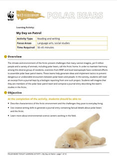 Wild Classroom Polar Bear Language Arts Activity Preview Page