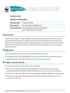 Wild Classroom Sea Turtle Social Studies Activity Preview Page