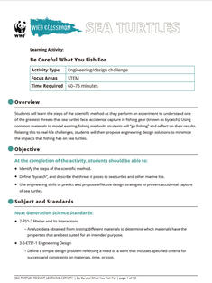 Wild Classroom Sea Turtle STEM Activity Preview Page