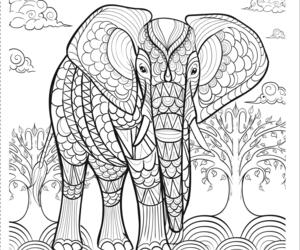 Elephant Coloring Page