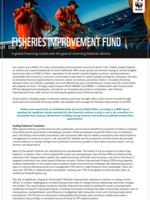 The Fisheries Improvement Fund Brochure