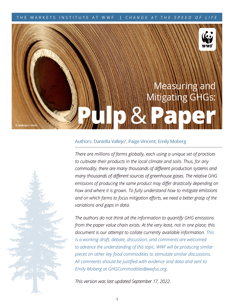 Pulp and Paper