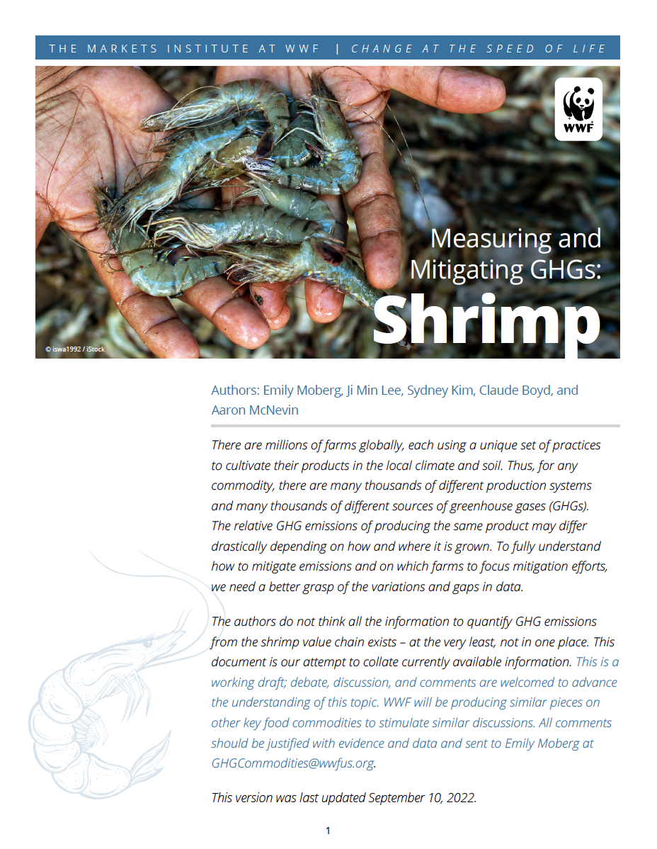 Shrimp