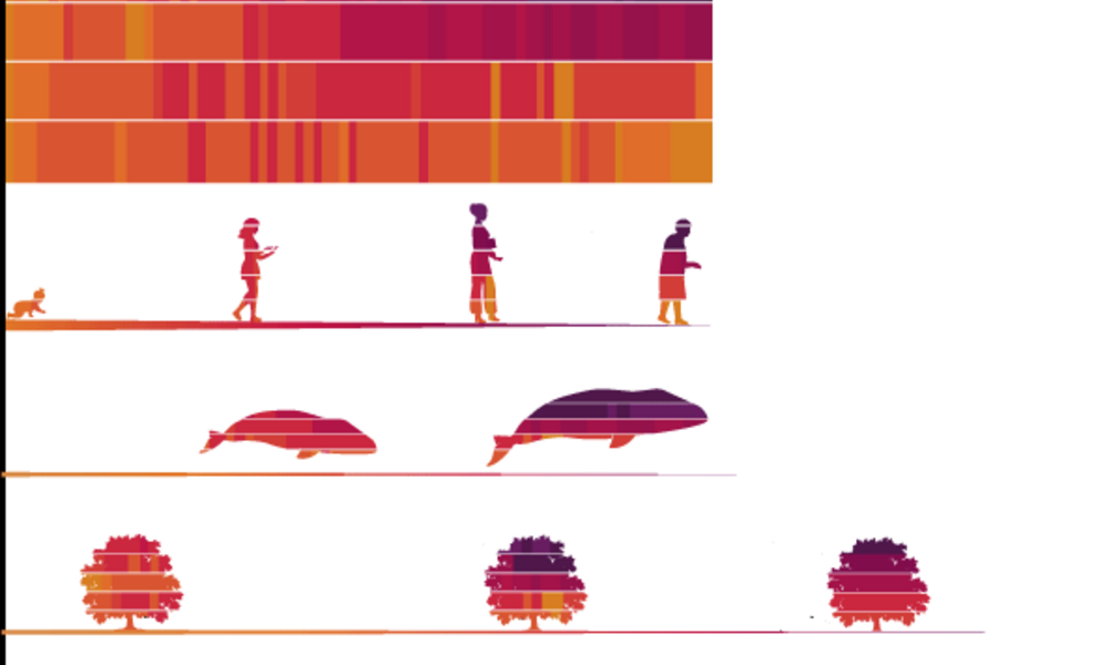 graphic showing global warming trends after 2020