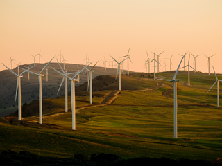 Wind turbines in a grassy area