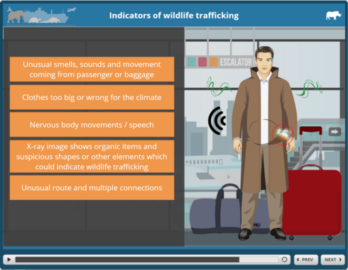E-learning module screen