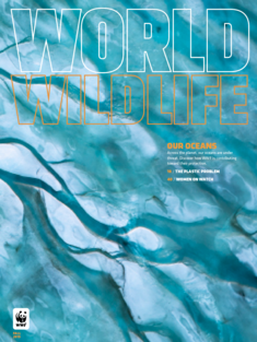 WWF Fall 2019 Magazine Cover